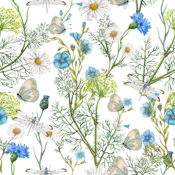 Dibujado Mano Patrón Sin Costura Botánica Flores Silvestres Jardín Plantas —  Fotos de Stock