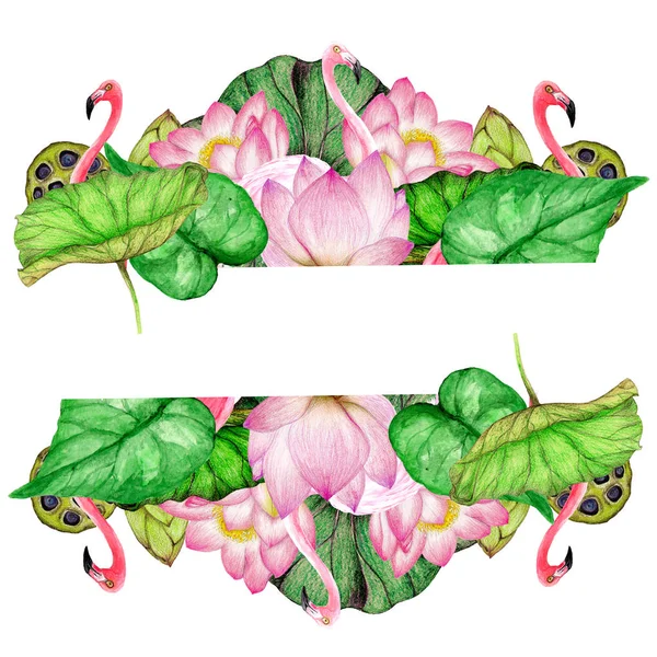 Hand Getekende Banner Van Aquarel Flamingo Lotusbloemen — Stockfoto