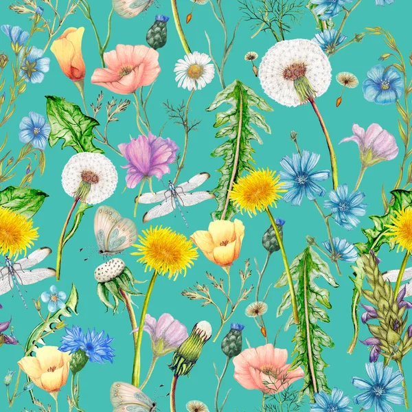 Handgezeichnete Botanische Nahtlose Muster Von Garten Wildblumen Pflanzen — Stockfoto