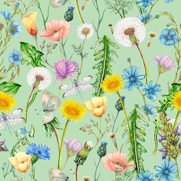 Hand Drawn Botanical Seamless Pattern Garden Wildflowers Plants — Stock Photo, Image