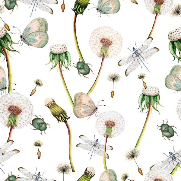 Ručně Kreslený Botanický Model Zahradních Květin Rostlin — Stock fotografie
