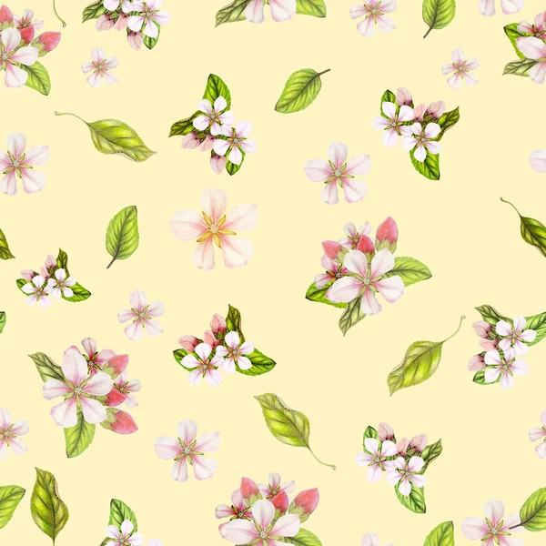 Nahtlose Botanische Muster Von Handgezeichneten Aquarell Apfelblüten — Stockfoto