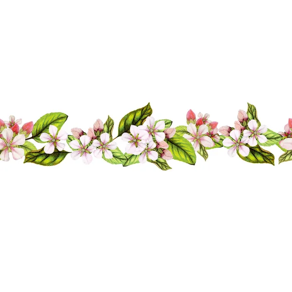 Seamless Botanical Border Hand Drawn Apples Apple Flowers Seamless Banner — Stock Photo, Image