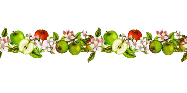 Bezszwowa Botaniczna Granica Ręcznie Rysowanych Jabłek Kwiatów Jabłoni Bezszwowy Banner — Zdjęcie stockowe