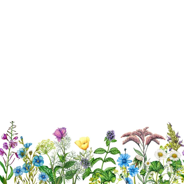 Seamless Border Watercolor Garden Flowers — Stock Photo, Image
