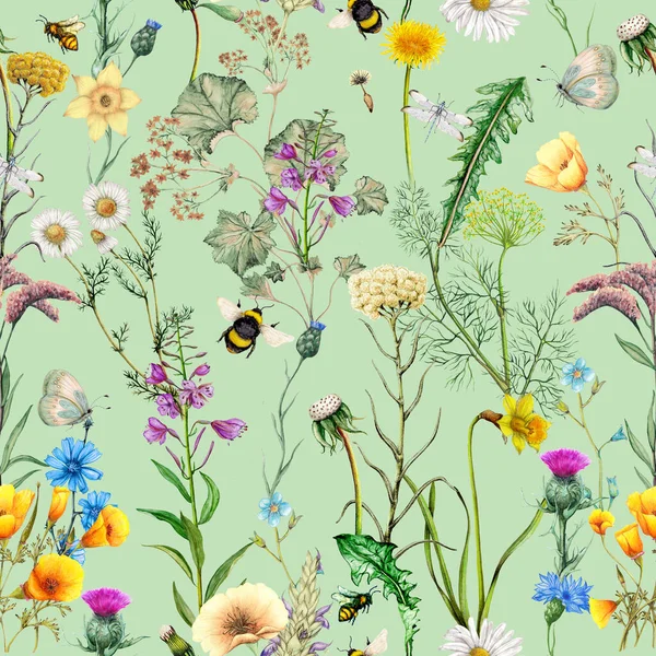 Bezproblémový Vzor Ručně Kreslených Zahradních Květin Rostlin Hmyzu — Stock fotografie