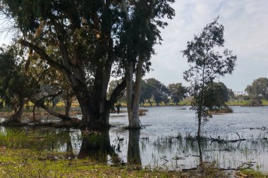 Netanya 'daki kış gölü