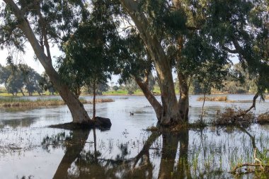 Netanya 'daki kış gölü