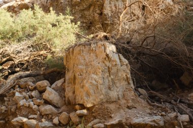 Bir nehir kanyonu (ilkbaharda) ya da (diğer mevsimlerde) Ölü Deniz kıyısındaki Bokek pınarı tarafından beslenen bir dere.