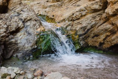 Bir nehir kanyonu (ilkbaharda) ya da (diğer mevsimlerde) Ölü Deniz kıyısındaki Bokek pınarı tarafından beslenen bir dere.