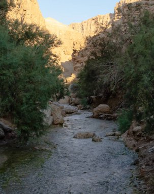 Bir nehir kanyonu (ilkbaharda) ya da (diğer mevsimlerde) Ölü Deniz kıyısındaki Bokek pınarı tarafından beslenen bir dere.