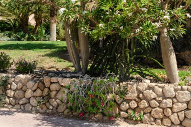 Kibbutz 'un kalbinde muhteşem bir botanik bahçesi var. 1953' te ekilmiş ve 900 'den fazla bitki türüne ev sahipliği yapıyor..