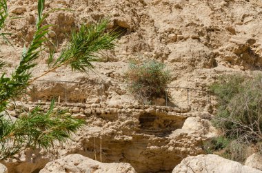 İsrail 'de Gedi Doğa Koruma Alanı