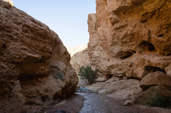 Canyon Fiume Primavera Torrente Tutte Altre Stagioni Alimentato Dalla Sorgente — Foto Stock