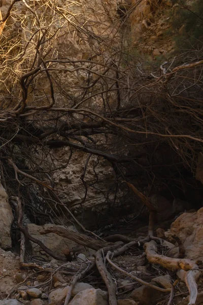 Canyon Fiume Primavera Torrente Tutte Altre Stagioni Alimentato Dalla Sorgente — Foto Stock