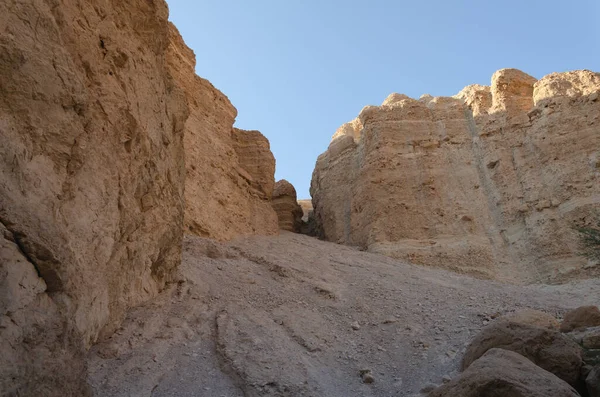 Schlucht Eines Flusses Frühling Oder Eines Baches Allen Anderen Jahreszeiten — Stockfoto