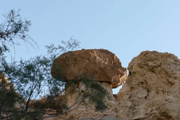 Canyon Fiume Primavera Torrente Tutte Altre Stagioni Alimentato Dalla Sorgente — Foto Stock