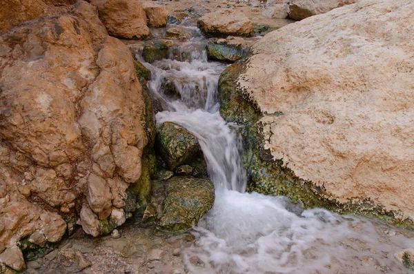 Canyon River Spring Stream All Other Seasons Fed Bokek Spring — Stock Photo, Image