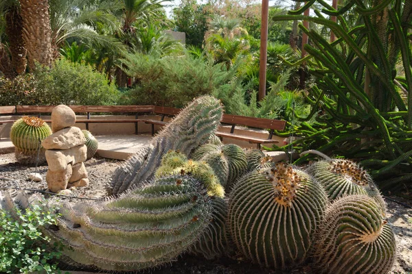 Kibbutz 'un kalbinde muhteşem bir botanik bahçesi var. 1953' te ekilmiş ve 900 'den fazla bitki türüne ev sahipliği yapıyor..