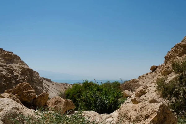 Gedi Nature Reserve Στο Ισραήλ — Φωτογραφία Αρχείου