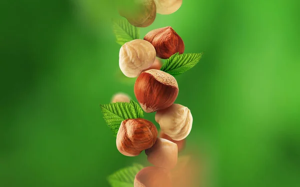 Hazelnuts Leaves Falling Air — Stock Photo, Image