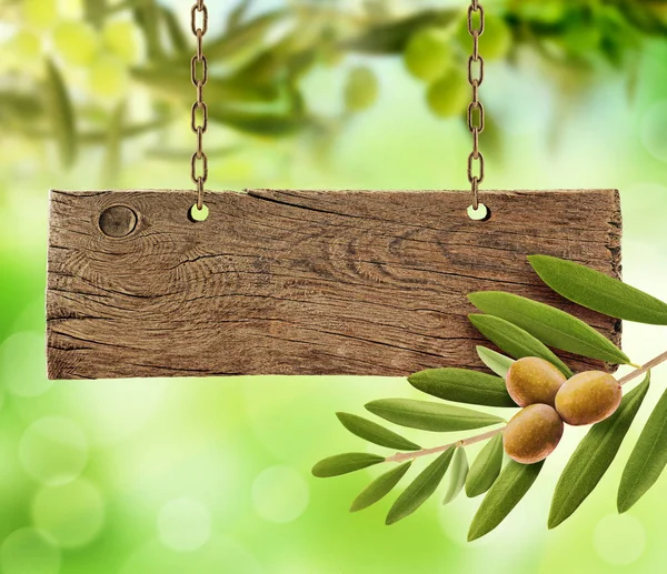 新鮮なオリーブ オリーブの木と木の板 — ストック写真