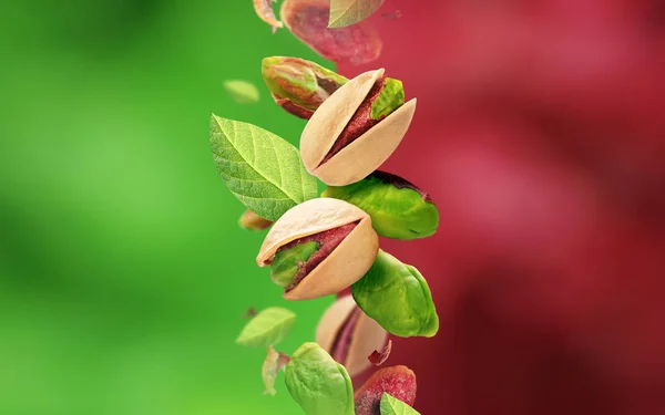 Pistacchi Foglie Che Cadono Dall Aria — Foto Stock