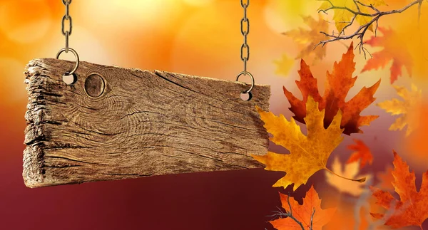 Сухие Осенние Листья Падают Воздуха Деревянной Доски — стоковое фото