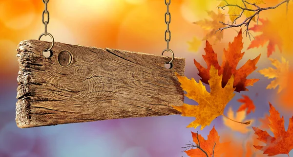 Сухие Осенние Листья Падают Воздуха Деревянной Доски — стоковое фото