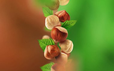 Fındık ve havadan düşen yaprakları