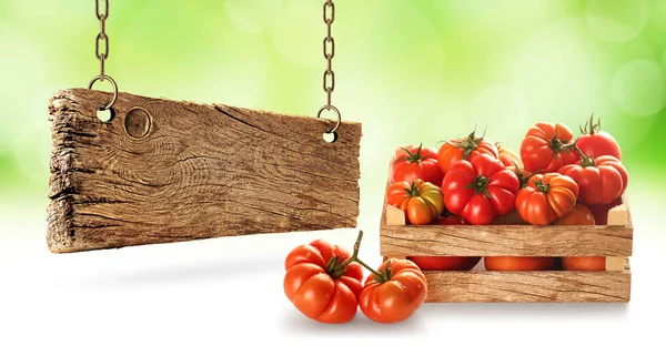 Fresh Village Tomatoes Wooden Case — Stock Photo, Image