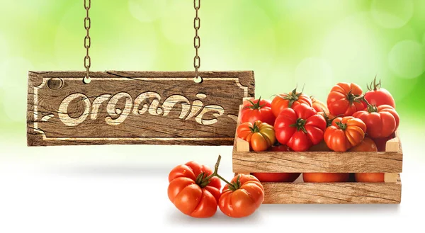Tomates Aldeia Frescos Caixa Madeira — Fotografia de Stock