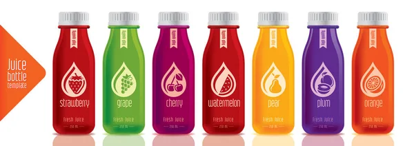 Set bottiglia di succo di design pronto — Vettoriale Stock