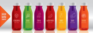 Hazır tasarım vektör suyu, meyve şişesi seti