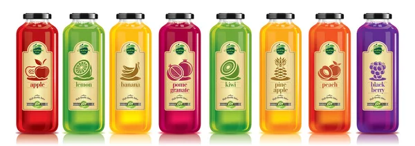 Ready design vector juice, fruit bottle set — Stock Vector