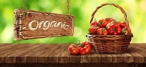 Cesta Tomate Fresco Vermelho Jardim — Fotografia de Stock