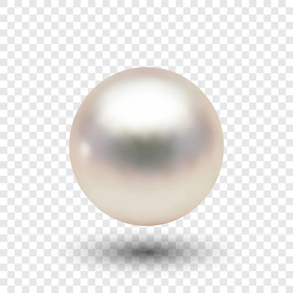Illustrazione vettoriale di singola perla bianca naturale lucida con effetti di luce isolati su sfondo trasparente . — Vettoriale Stock