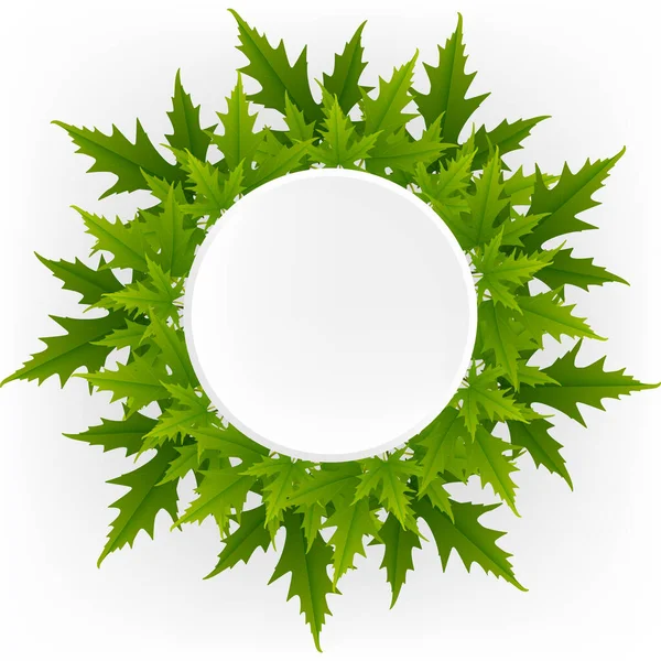 Simple spring pattern. White background, large green maple leaves. Print is well suited for textiles, Wallpaper and packaging. Circle frame — Stock Vector