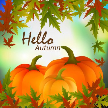 Sonbahar vektör arkaplanı. Kırmızı, sarı, yeşil, yapraklar ve soyut arkaplanda turuncu balkabağı. Alışveriş satışı, tanıtım afişi, kartlar, çerçeve broşürü, web pankartı.