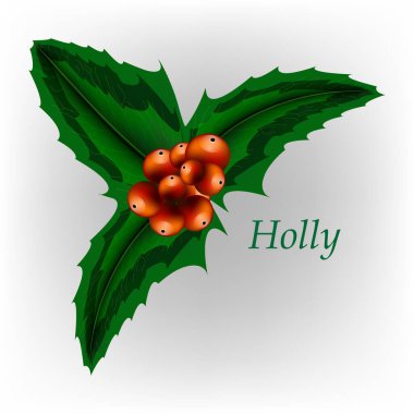 Holly Leaves. Noel Holly Berry. Vektör EPS 10.