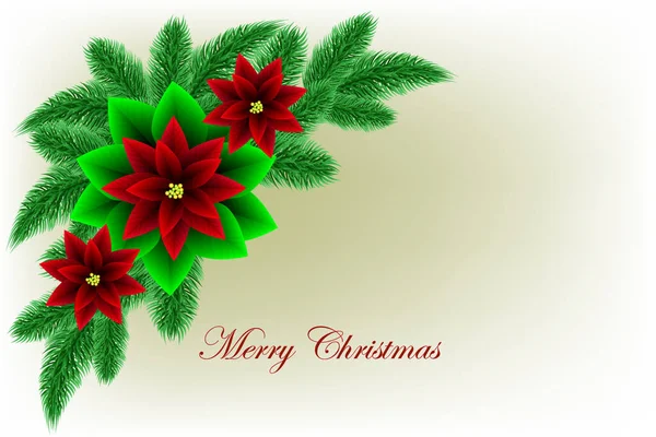 Noel ağacı dalları ve kırmızı noktalı çiçeklerle Noel için özel tasarım. Vektör illüstrasyonu — Stok Vektör