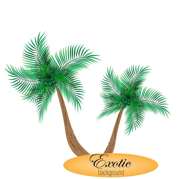 Tropische palmbladeren achtergrond. vectorpatroon met jungleverlof in trendy stijl. — Stockvector
