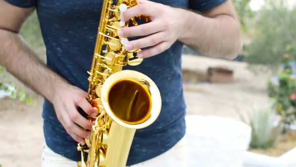 Молодой Музыкант Играет Саксофоне Естественном Месте Прекрасный День Сельской Местности — стоковое видео