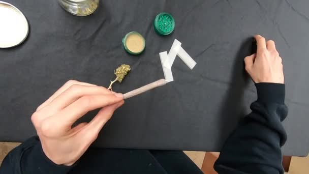 Pierwszy Rzut Oka Człowiek Toczy Się Pali Skręta Marihuaną Pąki — Wideo stockowe