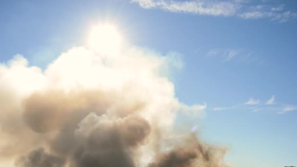 Fumée Provenant Grand Feu Dans Nature Causé Par Des Températures — Video