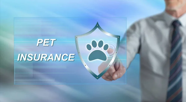 Man touching a pet insurance concept on a touch screen with his finger