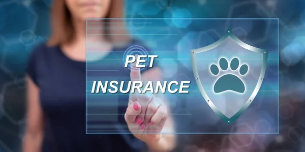 Woman touching a pet insurance concept on a touch screen with her finger