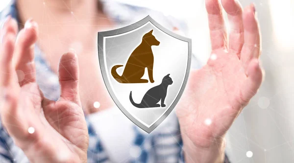 Pet protection concept between hands of a woman in background