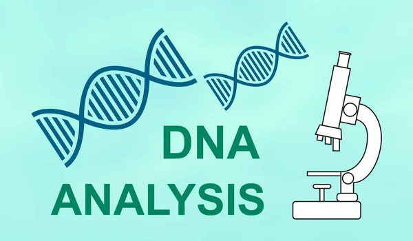 Ábrán Dns Elemzés Koncepció — Stock Fotó