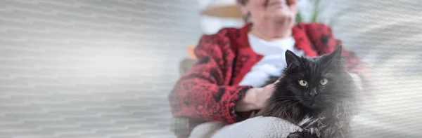 Old woman with her cat. panoramic banner — Stock Photo, Image